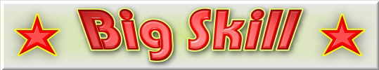 Big-Skill_TopDisplay_1